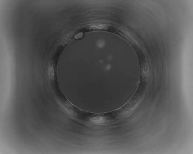X0000112530551200908241509