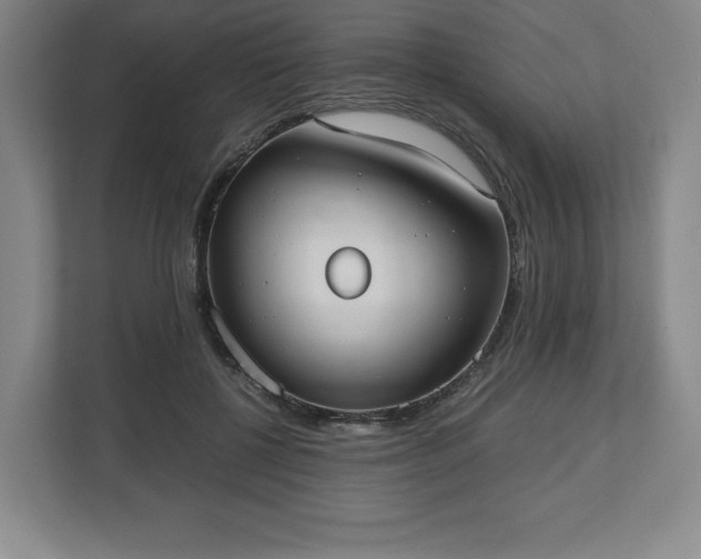X0000112530552200908241509