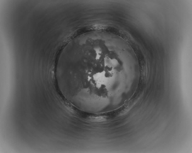 X0000112530553200908241509