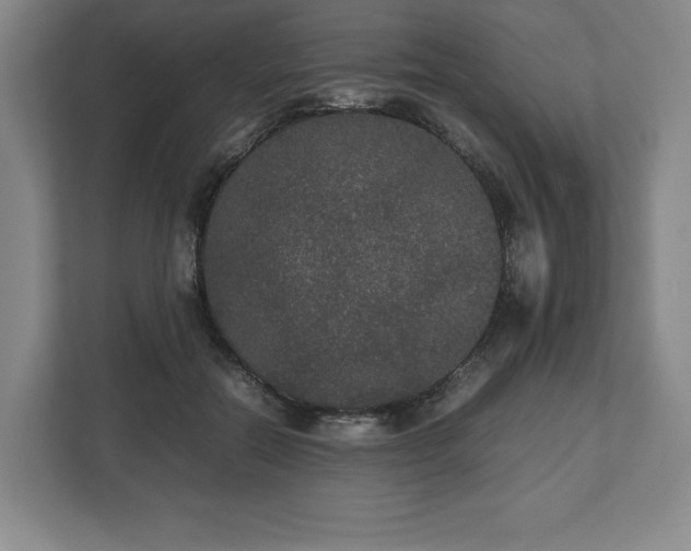 X0000112530554200908241509