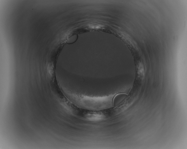 X0000112530559200908241509