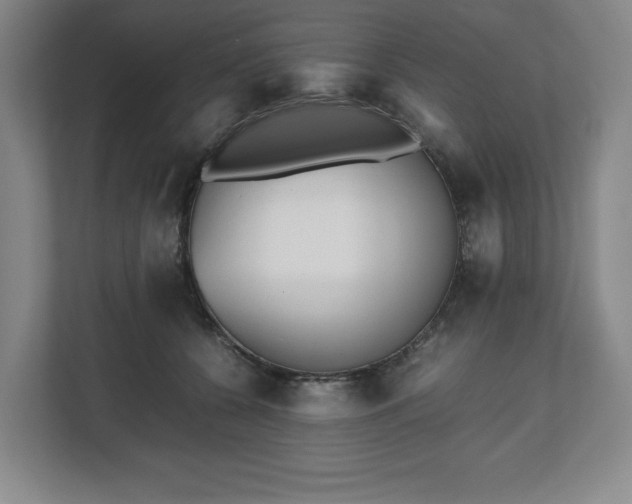 X0000112530560200908241509
