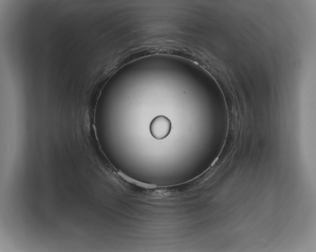 X0000112530562200908241509