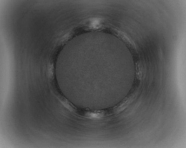 X0000112530563200908241509