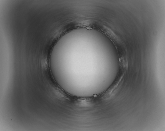 X0000112530564200908241509