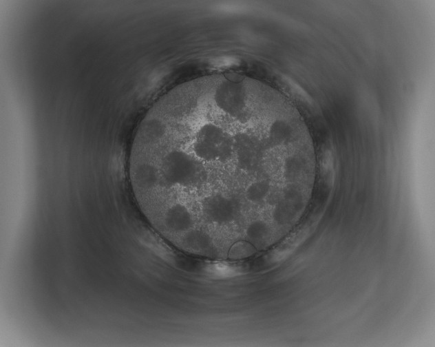 X0000112530565200908241509