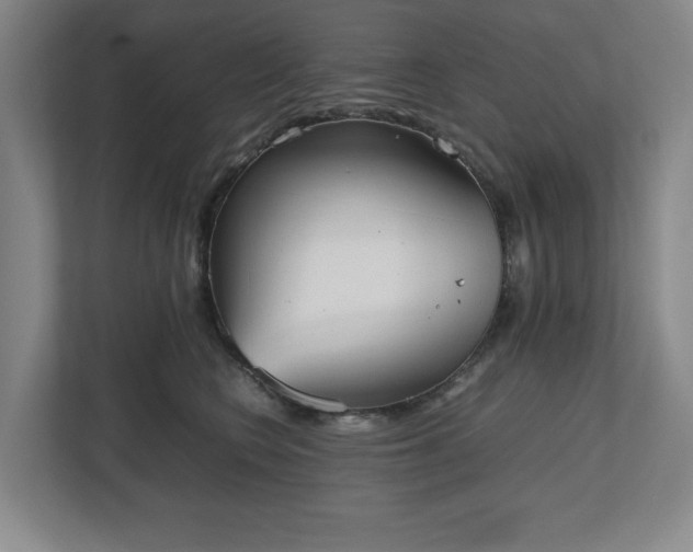 X0000112530566200908241509