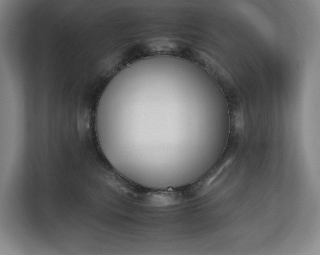 X0000112530567200908241509