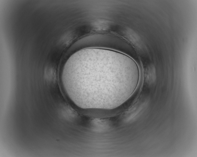 X0000112530568200908241509
