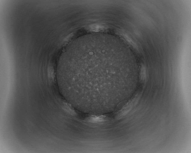 X0000112530569200908241509