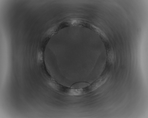 X0000112530571200908241509