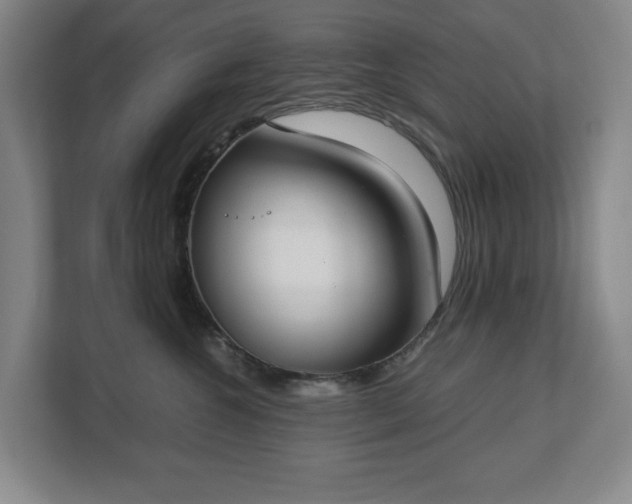 X0000112530572200908241509