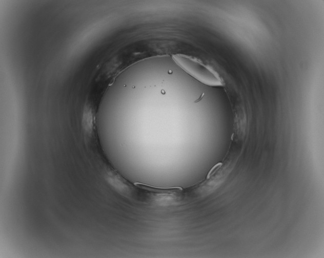 X0000112530574200908241509