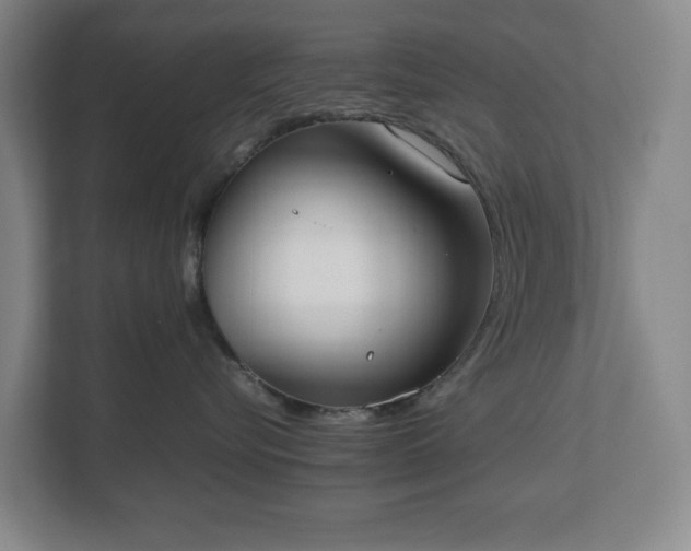 X0000112530576200908241509