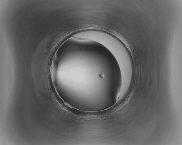 X0000112530577200908241508