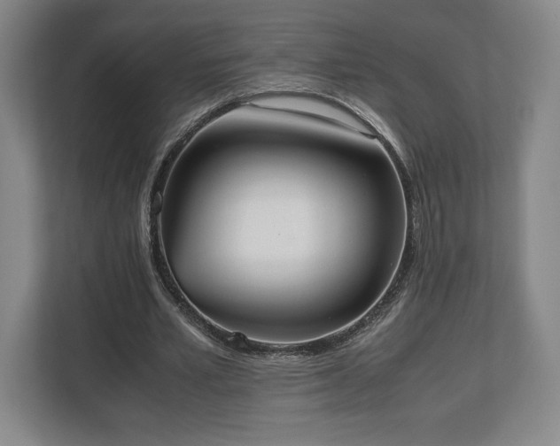 X0000112530581200908241508