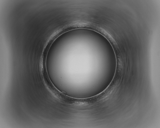 X0000112530582200908241508