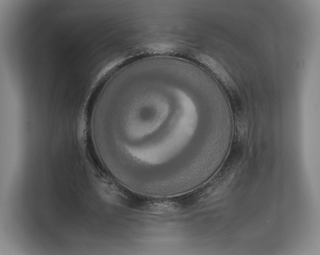 X0000112530583200908241508