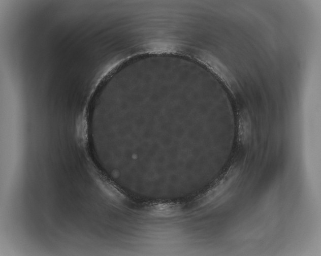 X0000112530584200908241508