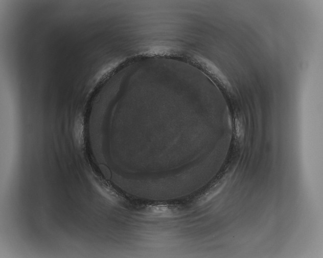 X0000112530588200908241508