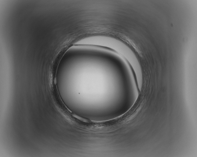 X0000112530589200908241508