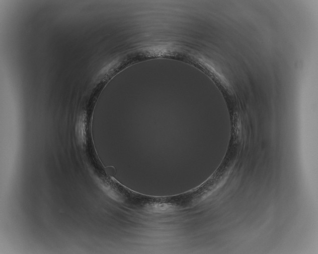 X0000112530590200908241508