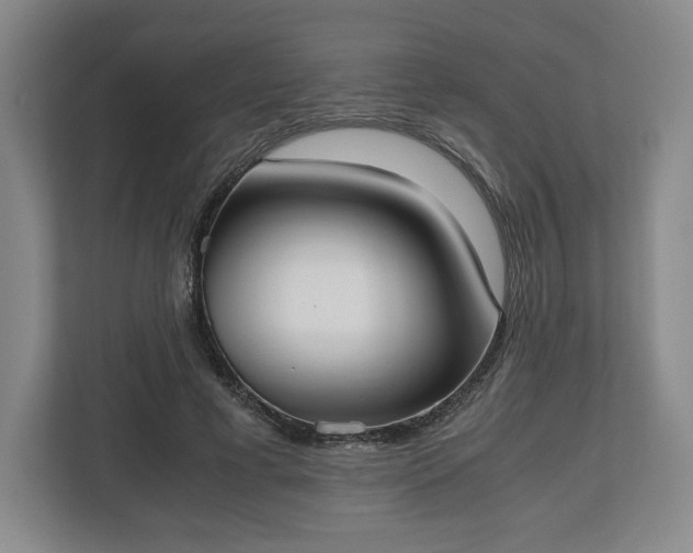 X0000112530593200908241508
