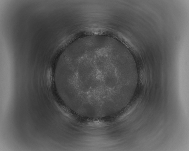X0000112530594200908241508