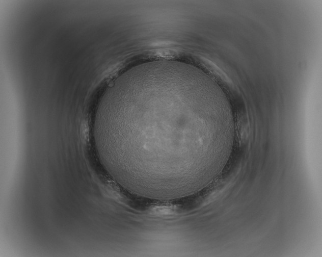 X0000112530595200908241508