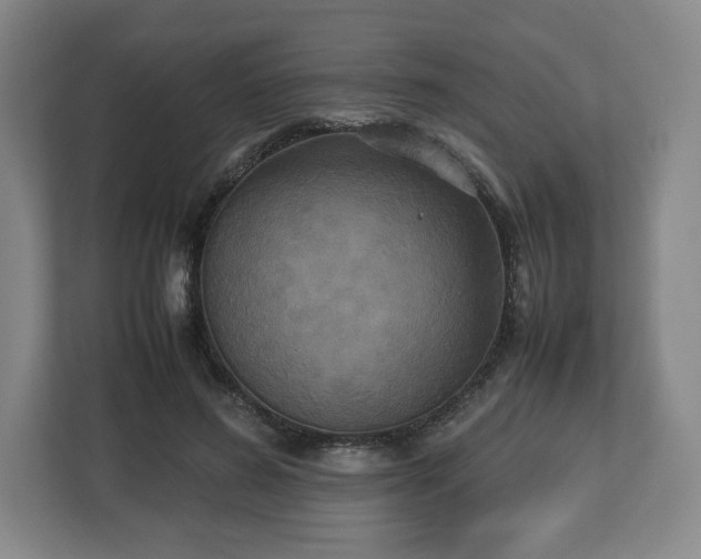 X0000112530596200908241508