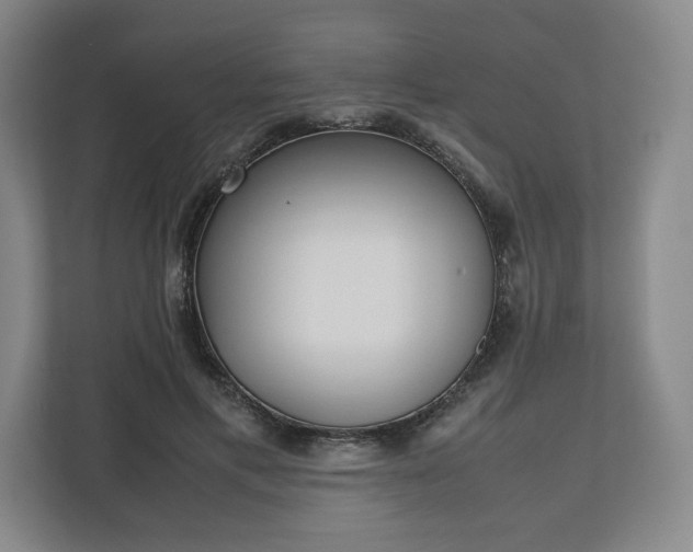 X0000112530597200908241508