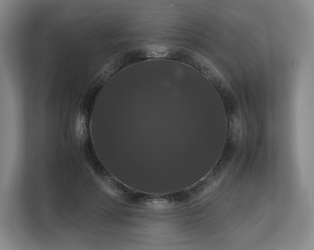 X0000112530598200908241508