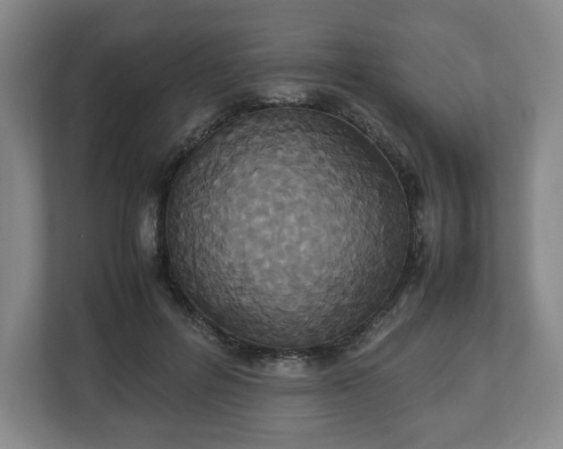 X0000112530600200908241508