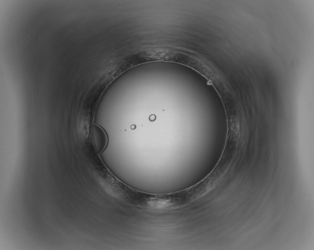 X0000112530602200908241508