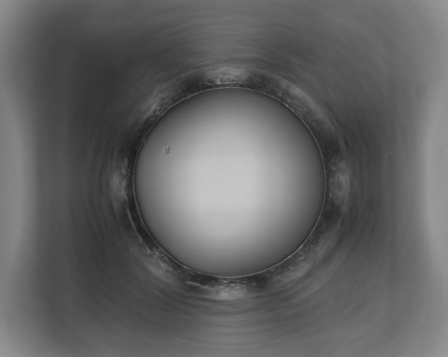 X0000112530604200908241508