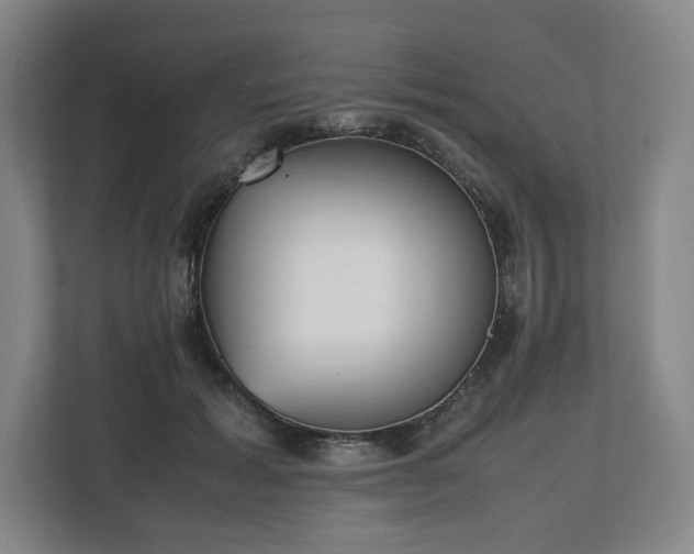 X0000112530605200908241508