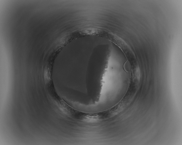 X0000112530606200908241508