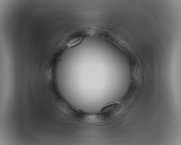 X0000112530611200908241508