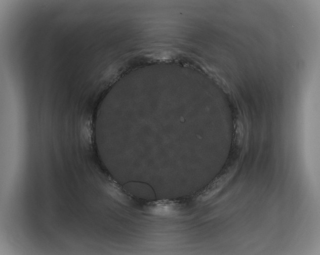 X0000112530612200908241508