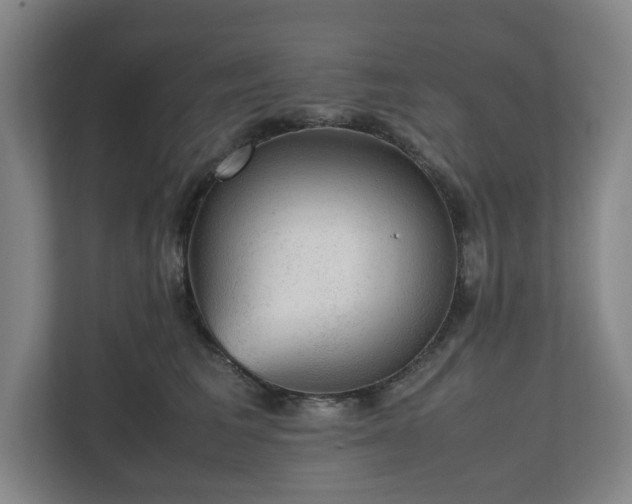 X0000112530613200908241508