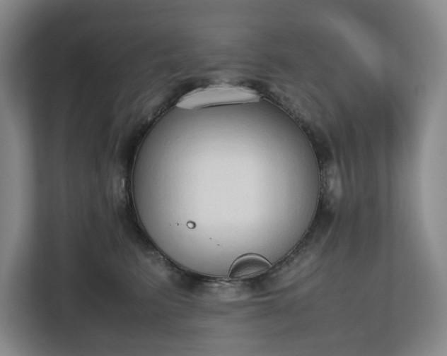 X0000112530615200908241508
