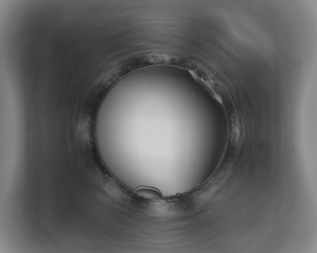X0000112530616200908241508