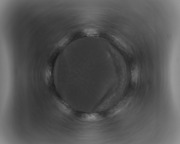 X0000112530618200908241508