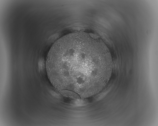 X0000112530623200908241508