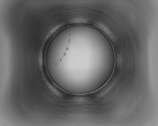 X0000112530629200908241507