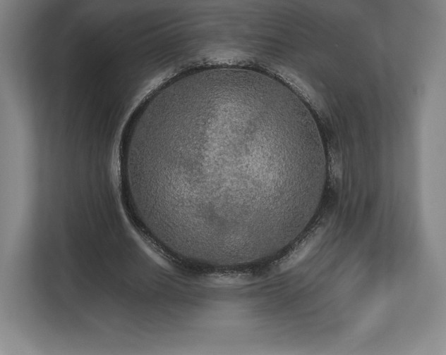 X0000112530630200908241507