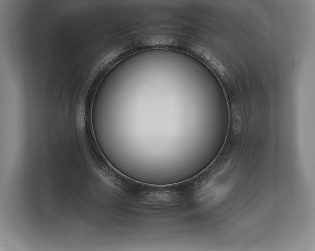 X0000112530631200908241507