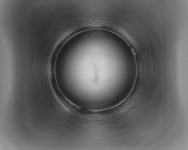 X0000112530634200908241507