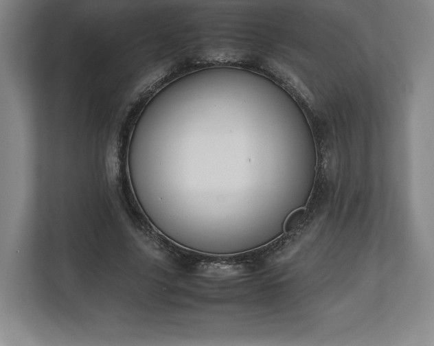 X0000112530635200908241507