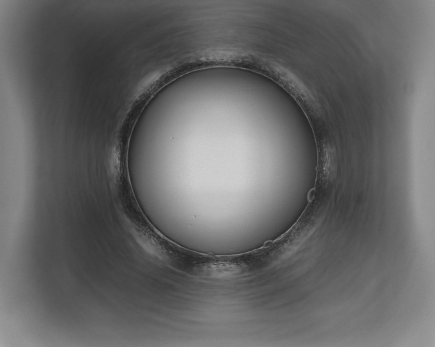 X0000112530636200908241507